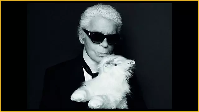 Karl Lagerfeld Choupette Steiff Cat