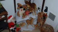 Steiff / Victorian Christmas Image Gallery